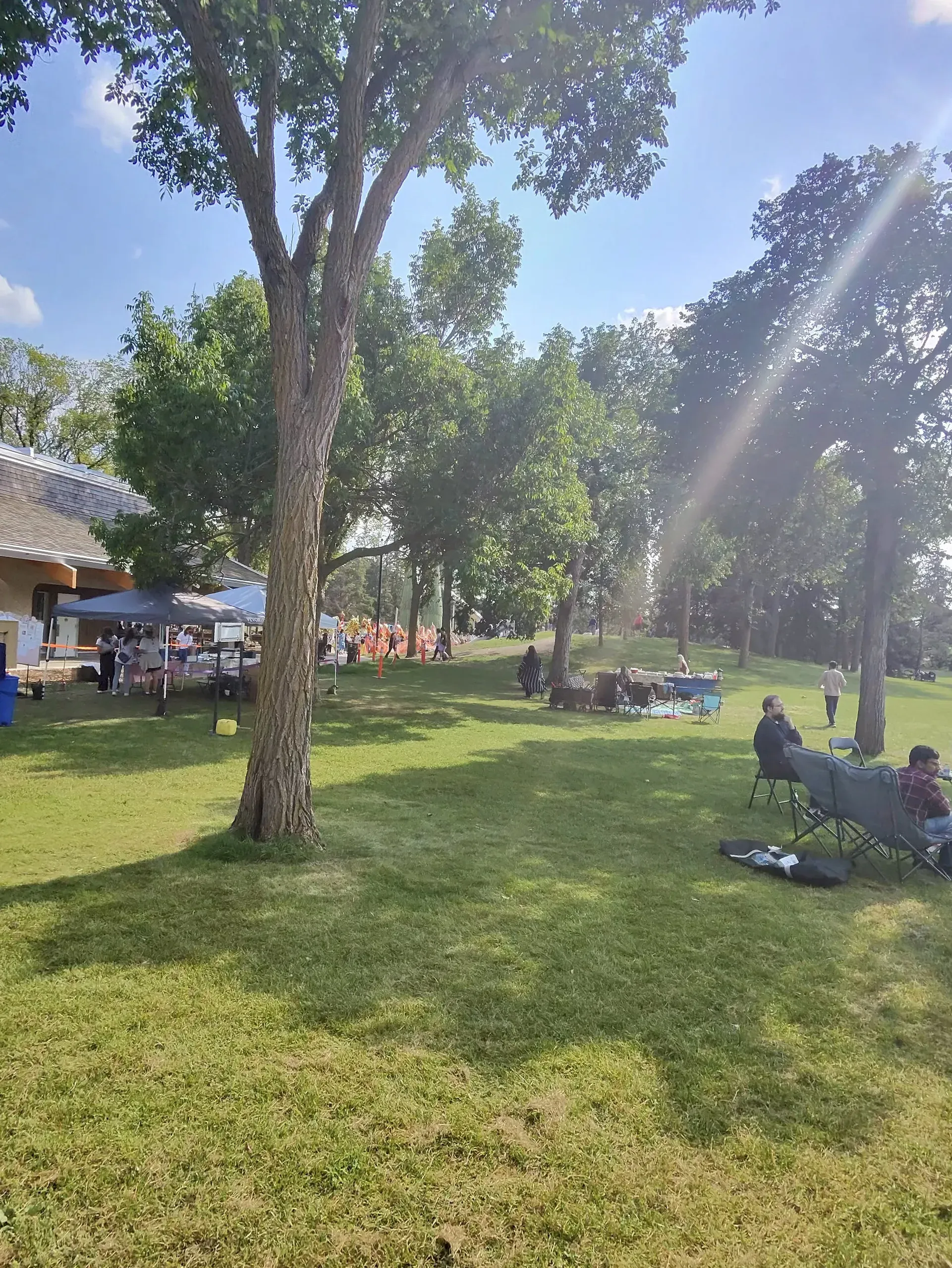 Sunny outdoor park with shade trees and festival tents in the distance
