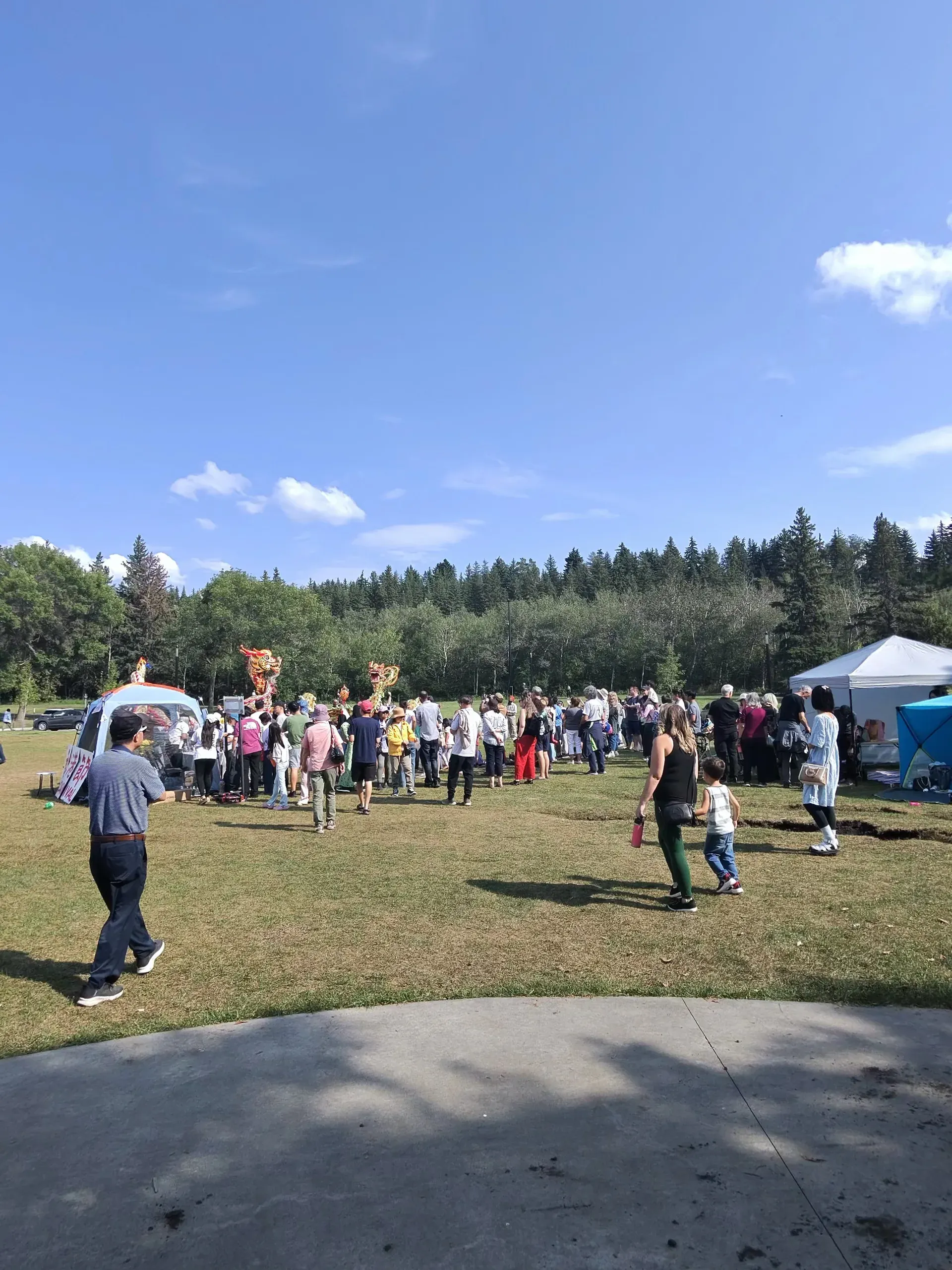 Crowds gathered around festival booths on the park field
